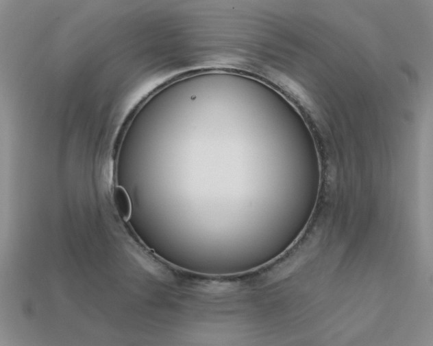 X0000113561324200909181012