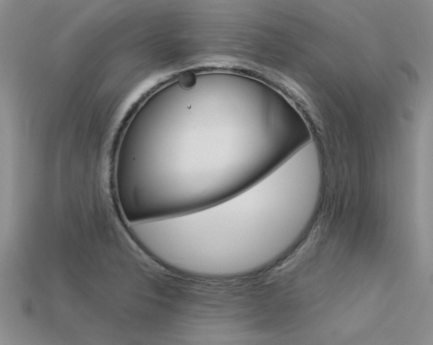 X0000113561326200909181012