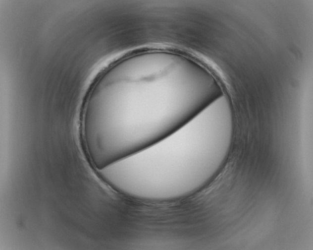 X0000113561327200909181012