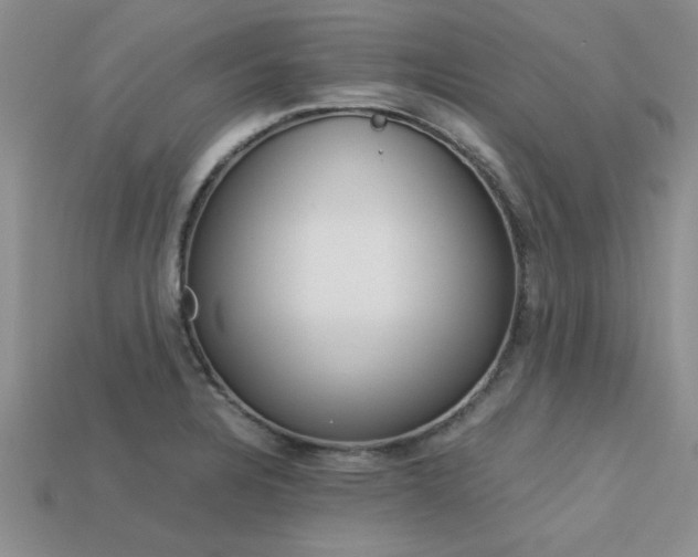 X0000113561328200909181012