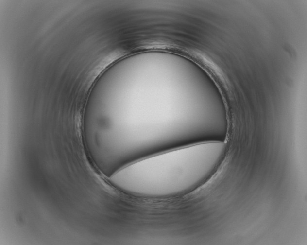 X0000113561329200909181012