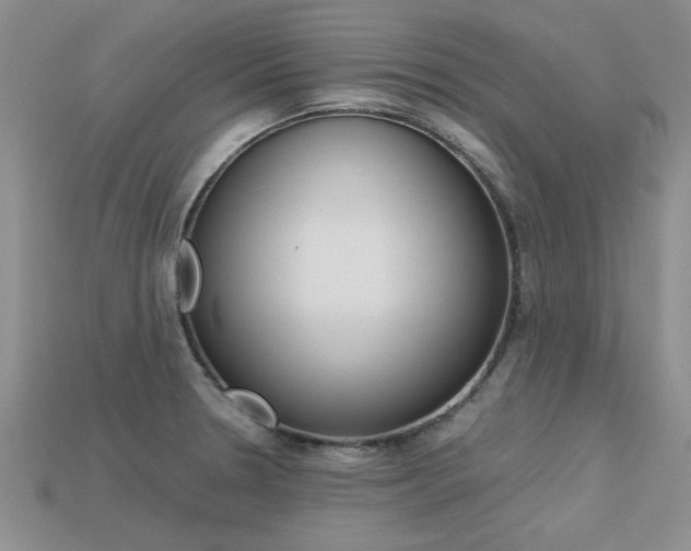 X0000113561330200909181012