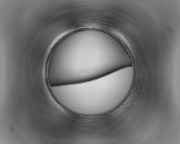 X0000113561331200909181012