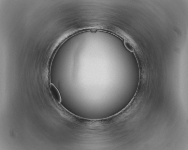 X0000113561332200909181012