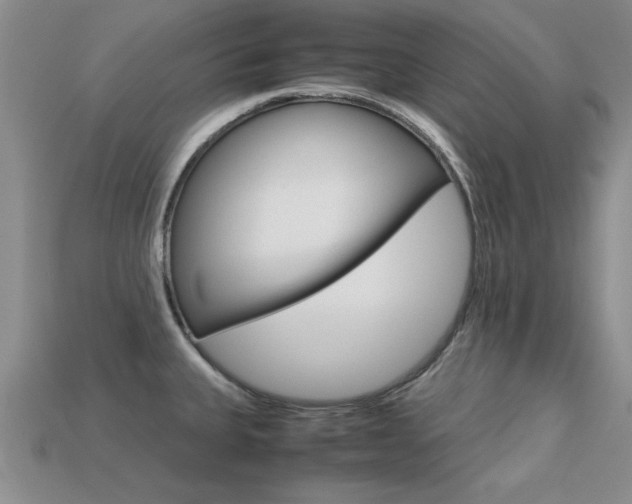 X0000113561335200909181012