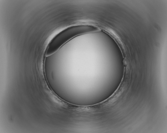 X0000113561336200909181012