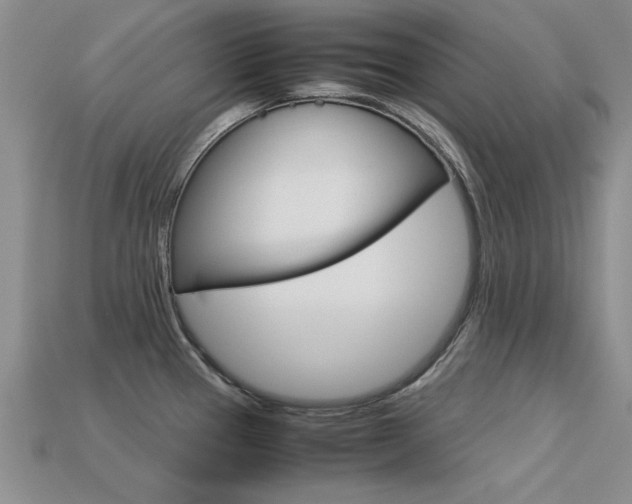 X0000113561337200909181012