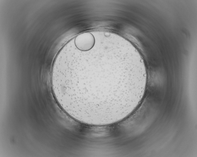 X0000113561338200909181012