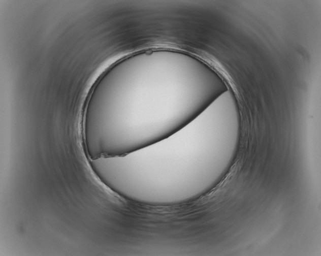 X0000113561339200909181012
