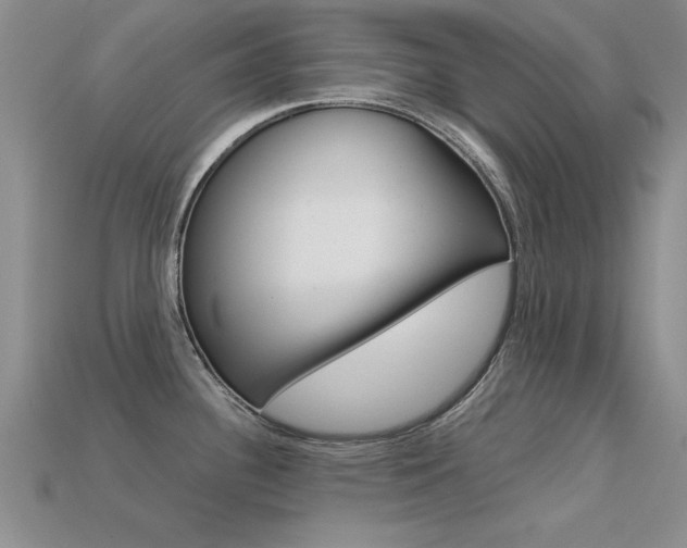X0000113561340200909181012