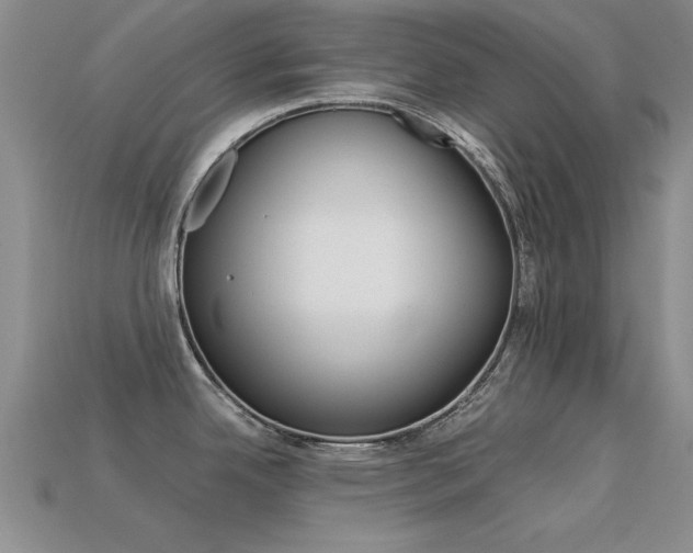 X0000113561342200909181013