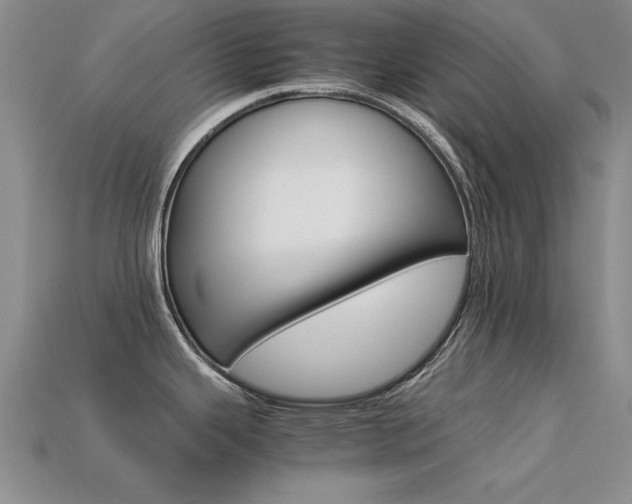 X0000113561343200909181013