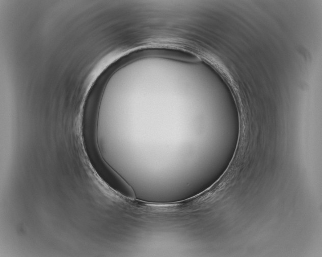 X0000113561344200909181013