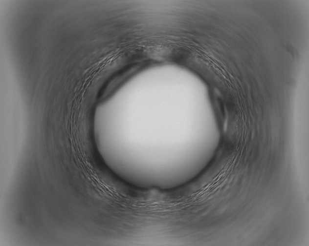 X0000113561345200909181012