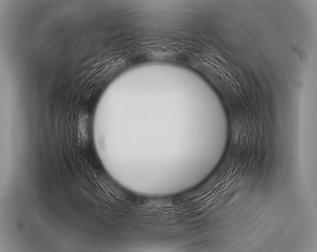 X0000113561346200909181012