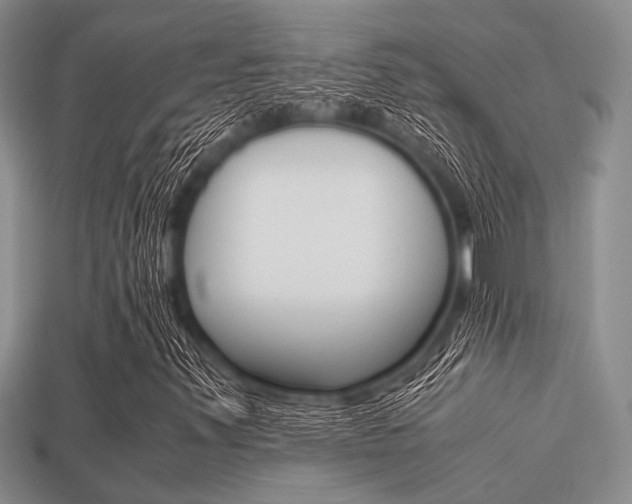 X0000113561347200909181012