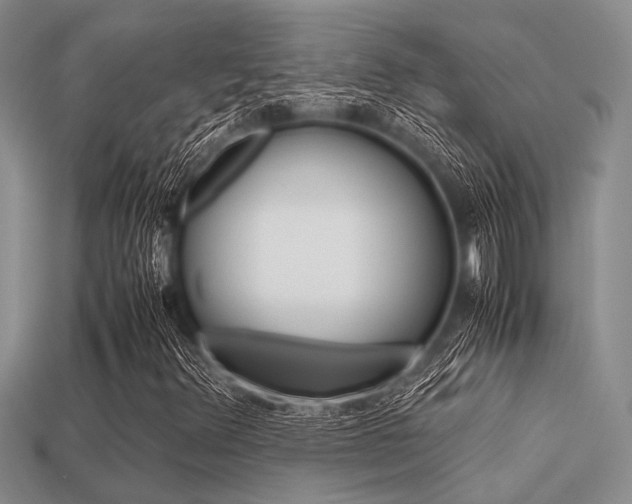 X0000113561348200909181012