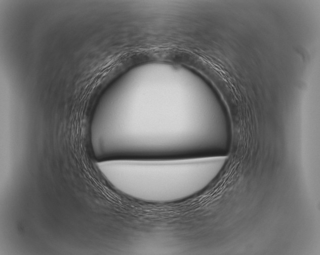X0000113561349200909181012