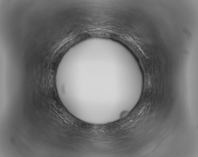 X0000113561350200909181012