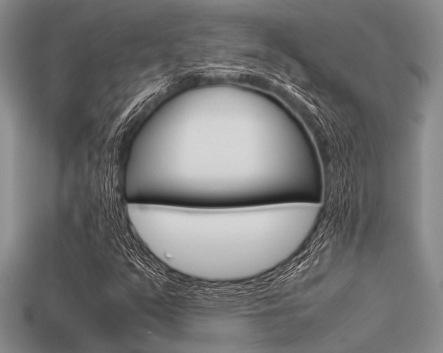 X0000113561351200909181012