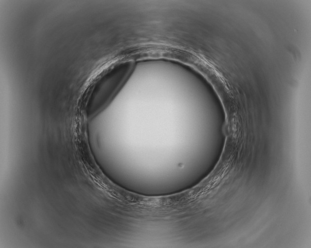 X0000113561352200909181012