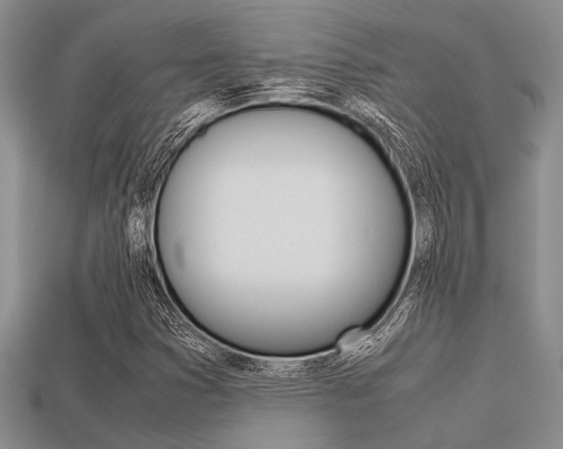 X0000113561353200909181012