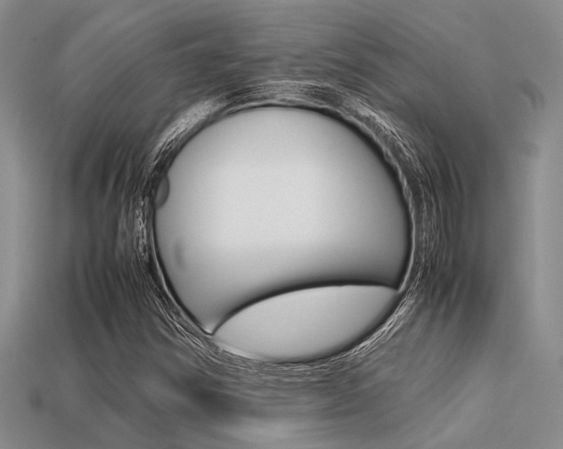 X0000113561354200909181012
