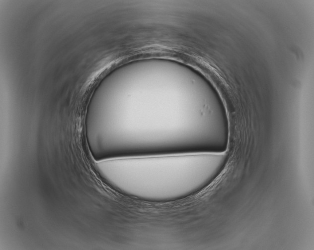 X0000113561355200909181012