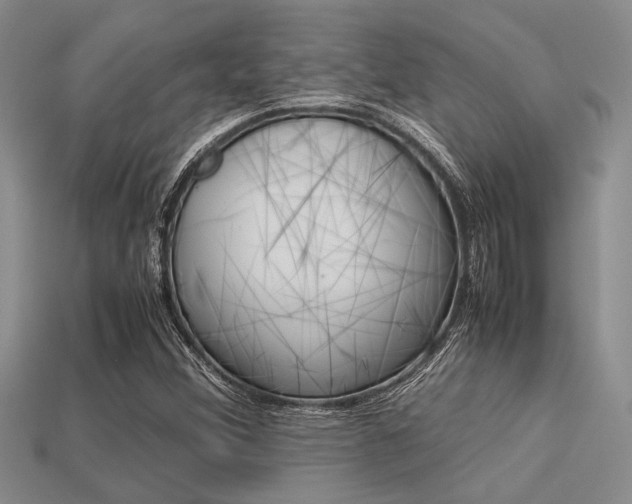 X0000113561356200909181012