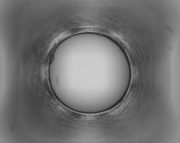X0000113561357200909181012