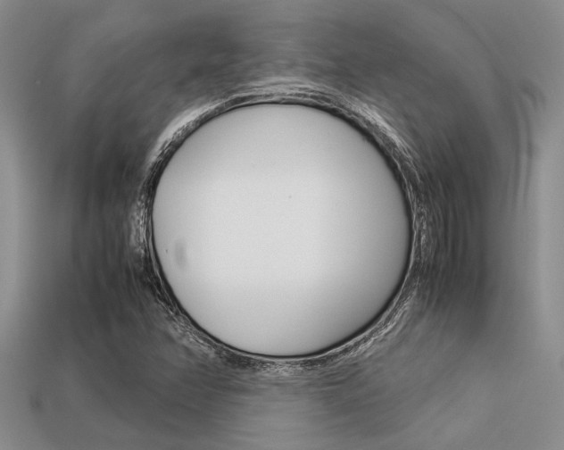 X0000113561358200909181012