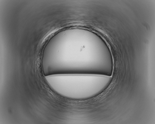 X0000113561359200909181012