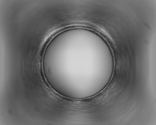 X0000113561360200909181012