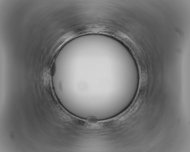 X0000113561361200909181012