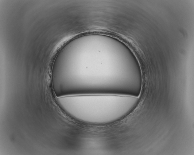 X0000113561363200909181012