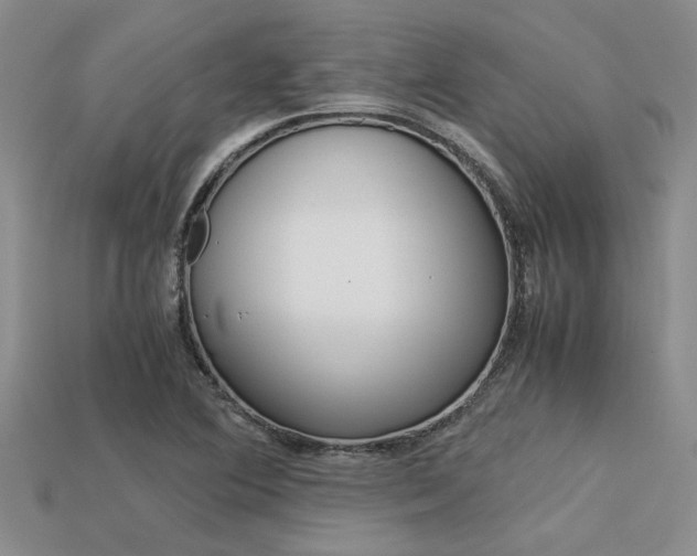 X0000113561364200909181012