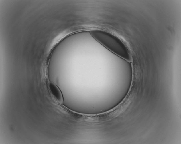 X0000113561365200909181012