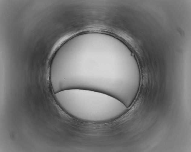 X0000113561366200909181012