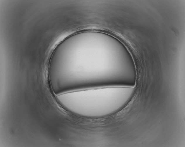 X0000113561367200909181012