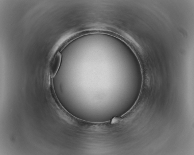 X0000113561368200909181012