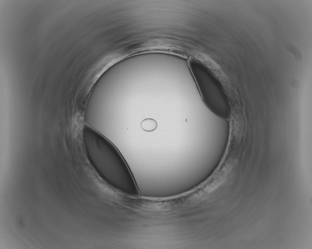 X0000113561369200909181012