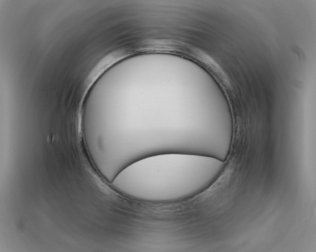 X0000113561370200909181012