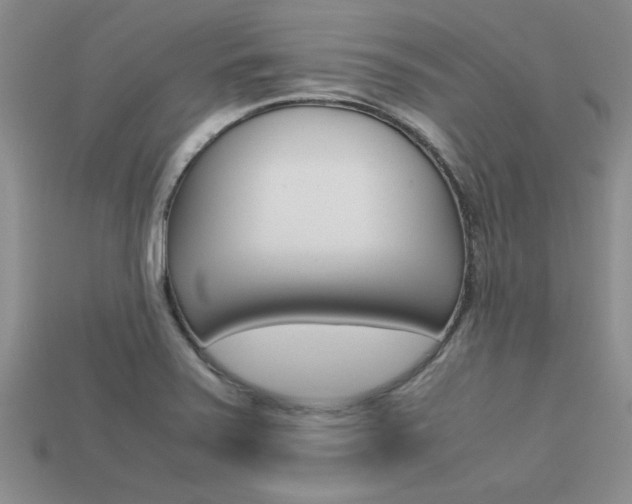 X0000113561371200909181012