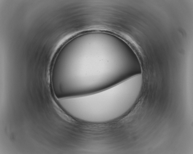 X0000113561372200909181012