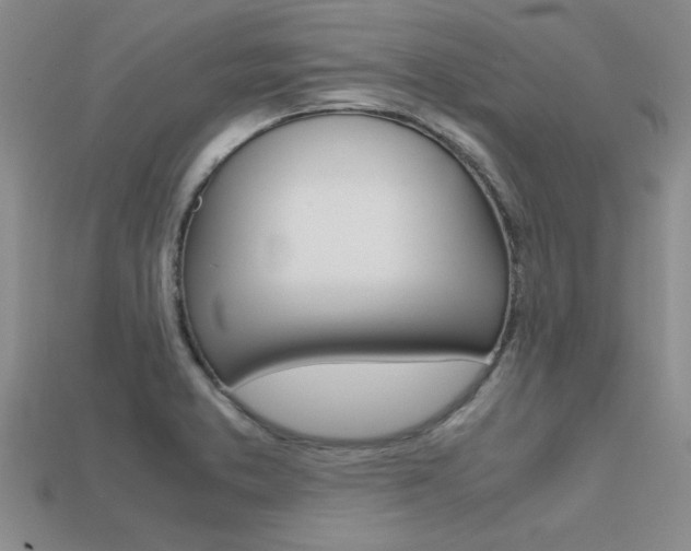 X0000113561373200909181011