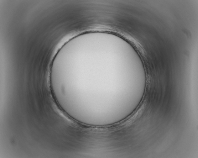 X0000113561374200909181011