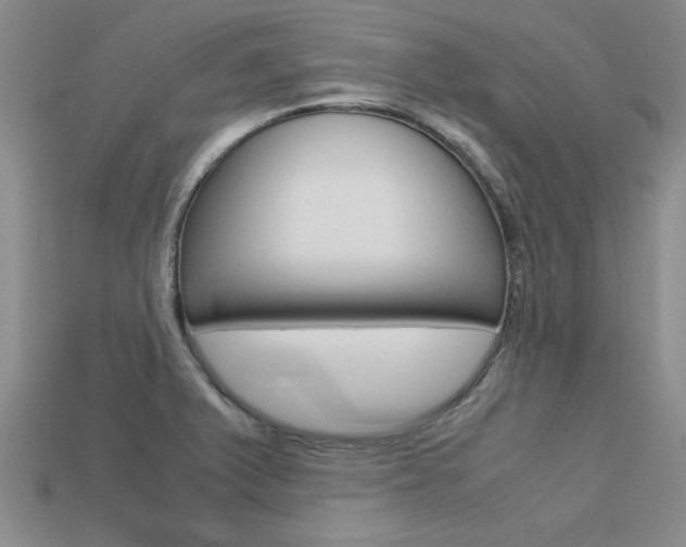 X0000113561375200909181011