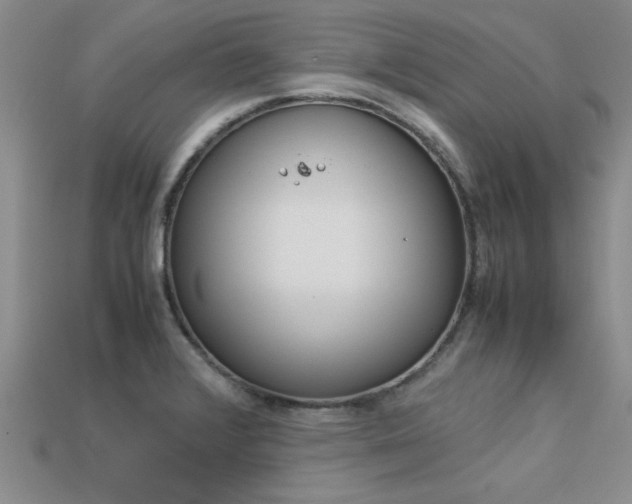 X0000113561376200909181011