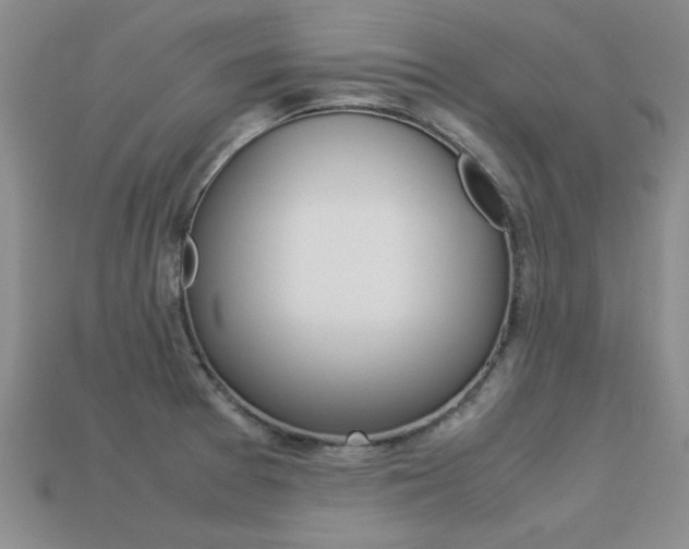 X0000113561377200909181011