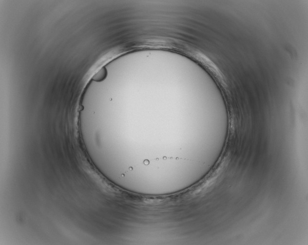 X0000113561378200909181011